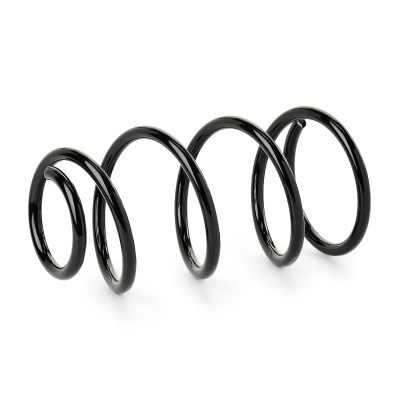 Suspension Spring RIDEX 188C1632 188C1632 - photo 5