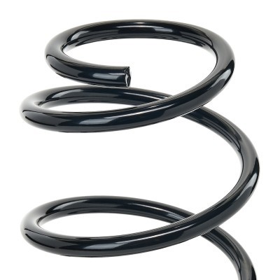 Suspension Spring RIDEX 188C3781 188C3781 - photo 3