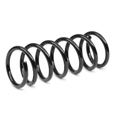 Suspension Spring RIDEX 188C0896 188C0896 - photo 3