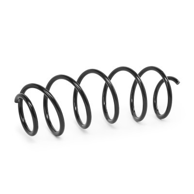 Suspension Spring RIDEX 188C1713 188C1713 - photo 2
