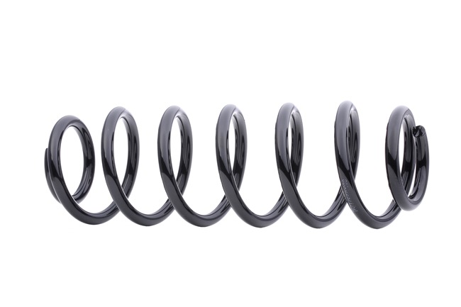 Suspension Spring RIDEX 188C0026 188C0026 - photo 1