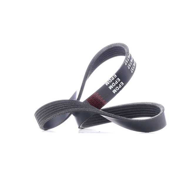 V-Ribbed Belt Stark SKPB-0090085 SKPB-0090085 - photo 1