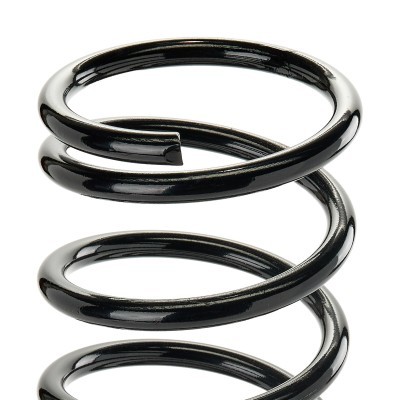 Suspension Spring RIDEX 188C0324 188C0324 - photo 3