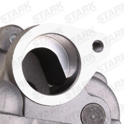 Oil Pump Stark SKOPM-1700042 SKOPM-1700042 - photo 5