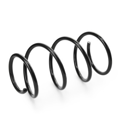 Suspension Spring RIDEX 188C1507 188C1507 - photo 3