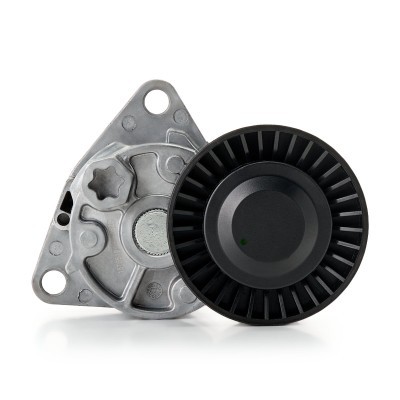 Belt Tensioner V-Ribbed Belt RIDEX 310T0307 310T0307 - photo 5
