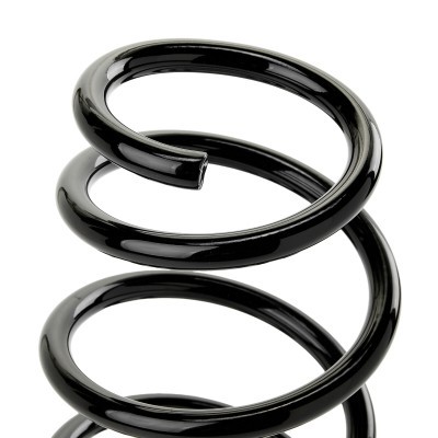Suspension Spring RIDEX 188C1602 188C1602 - photo 3
