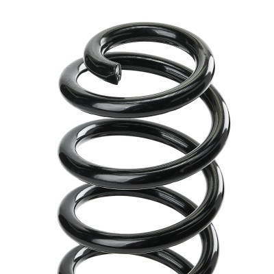 Suspension Spring RIDEX 188C0763 188C0763 - photo 4