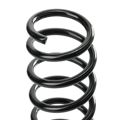 Suspension Spring RIDEX 188C0599 188C0599 - photo 4