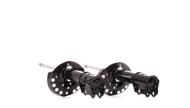 Shock Absorber RIDEX 854S2309 854S2309 - photo 1