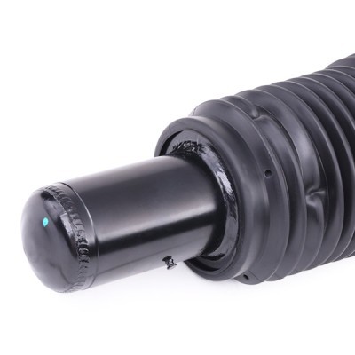 Bellow, Air Suspension RIDEX 4118A0128 4118A0128 - photo 5