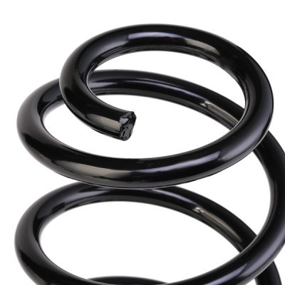 Suspension Spring RIDEX 188C0308 188C0308 - photo 4