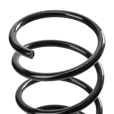 Suspension Spring RIDEX 188C0978 188C0978 - photo 4