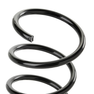 Suspension Spring RIDEX 188C0859 188C0859 - photo 3