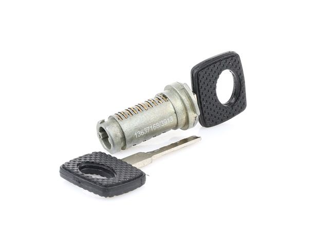 Door Lock RIDEX 1378L0013 1378L0013 - photo 1