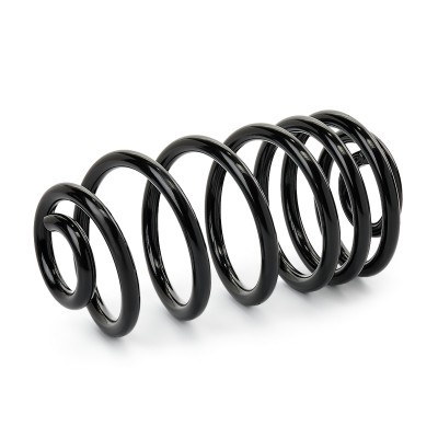 Suspension Spring RIDEX 188C1681 188C1681 - photo 3