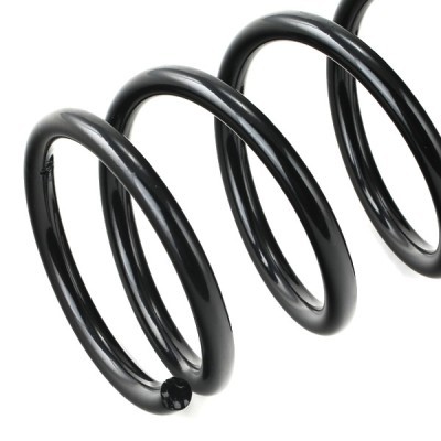 Suspension Spring RIDEX 188C0455 188C0455 - photo 4