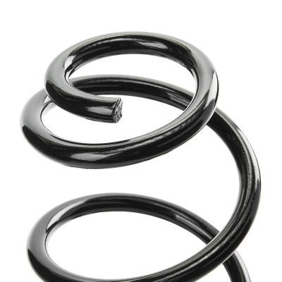 Suspension Spring RIDEX 188C0915 188C0915 - photo 4