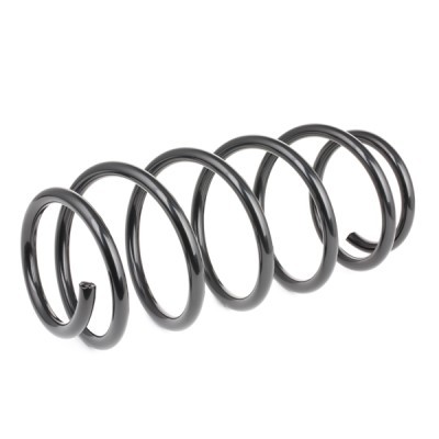 Suspension Spring RIDEX 188C0039 188C0039 - photo 2